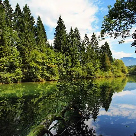 Bohinjskih 7 شقة *