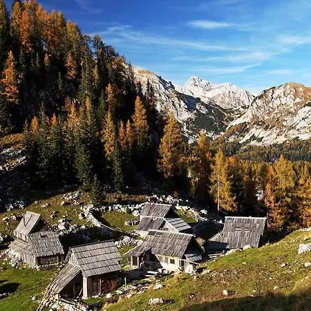 Lejlighed Bohinjskih 7