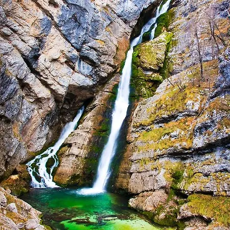 شقة Bohinjskih 7 *