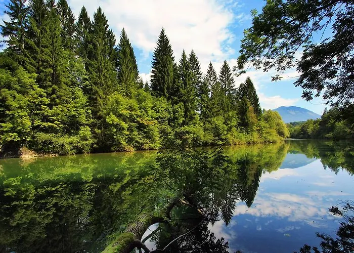 Bohinjskih 7 شقة *