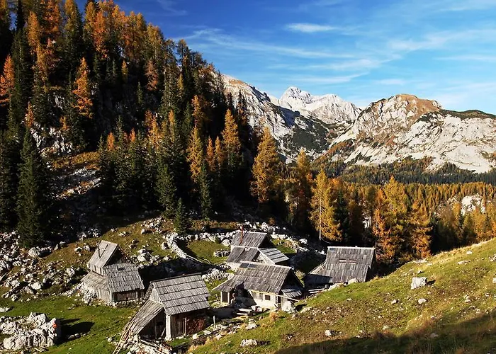 Apartamento Bohinjskih 7