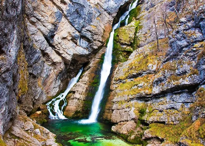 شقة Bohinjskih 7 *